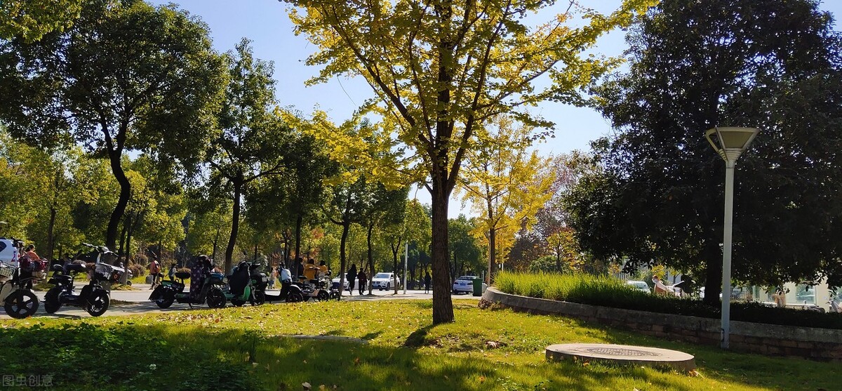 2021年华中农业大学成人高考函授招生报名专业