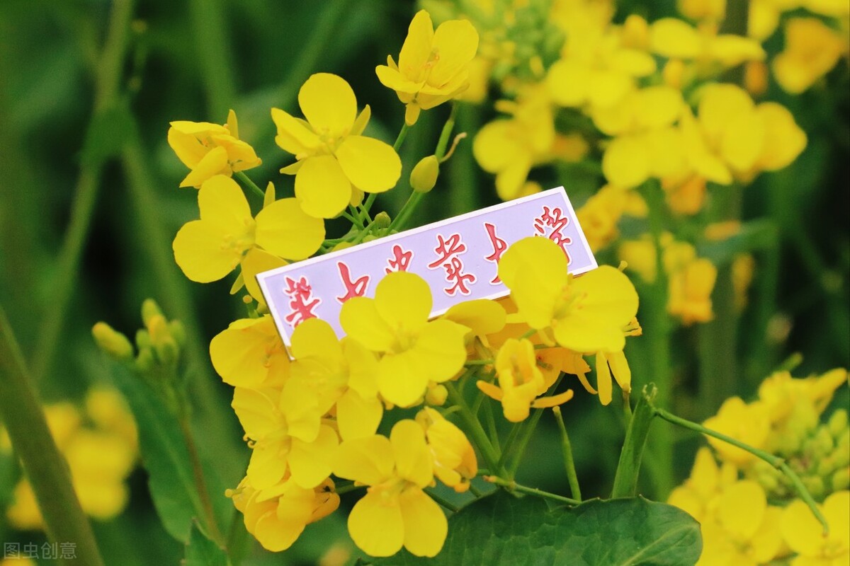 2021年华中农业大学成人高考函授招生报名专业